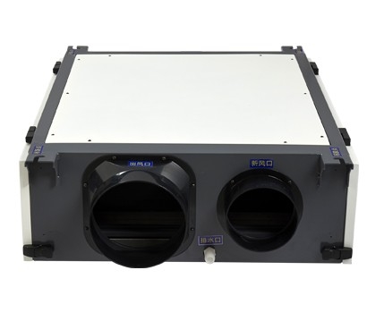 BL-890D-DJH   90L/d